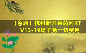 曲靖夜场招聘